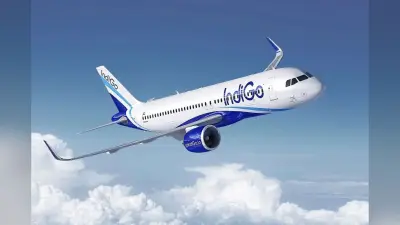 Indigo Crisis: पटना से इंडिगो की 9, 10 और 11 दिसंबर को ये सभी फ्लाइटें रहेंगी कैंसिल, जानिये कब तक होगा सब कुछ ठीक