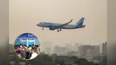 Indigo Flight Status : मुंबई और दिल्ली हवाई अड्डों पर 220 उड़ान रद्द, एक्शन में आया इंडिगो मैनेजमेंट