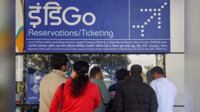Indigo Flights Issue: इंडिगो की 650 उड़ानें रद्द, 10 दिसंबर तक स्थिति सामान्य होने की उम्मीद