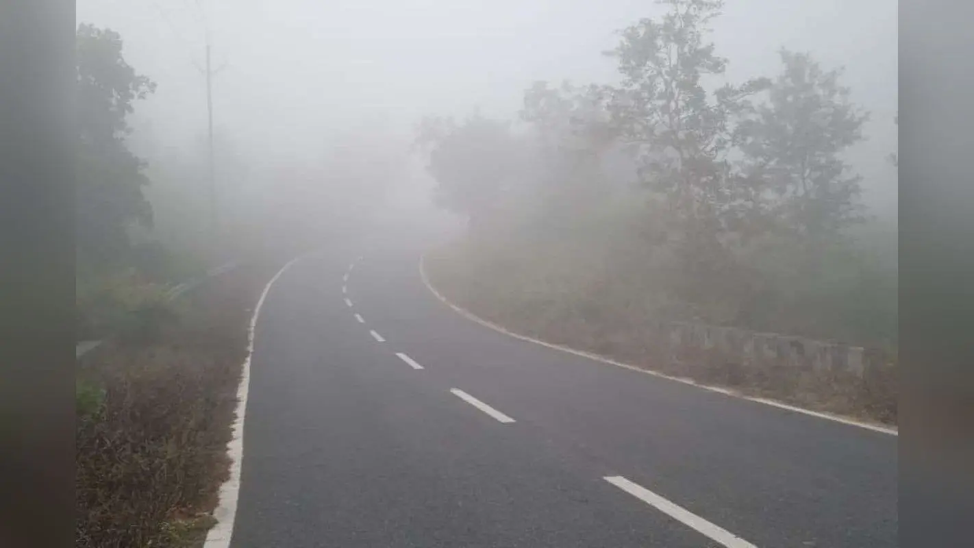 कोहरे में लिपटी पलामू, जानें कैसा रहा झारखंड का मौसम
