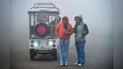 Kal Ka Mausam: भीषण सर्दी के बीच शीतलहर का प्रकोप, कोहरे ने और बढ़ाई परेशानी, जानें देशभर के मौसम का हाल