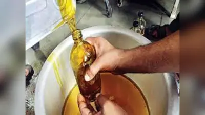 Bihar News: तेलहन प्रसंस्करण का हब बनेगा सीतामढ़ी, 10 टन क्षमता वाले दो मिल होगी स्थापित