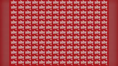 Optical Illusion: पहेलियों के बाजीगर ही सिर्फ ढूंढ पाएंगे इस फोटो में टोनू, 10 सेकंड के अंदर खोजने का है चैलेंज