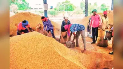 झारखंड में 60 लाख क्विंटल धान अधिप्राप्ति का लक्ष्य, कल से शुरू होगी खरीदारी