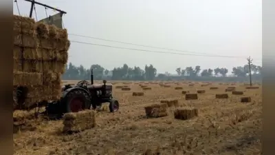 Bihar News: मगध इलाके में पुआल से भरे खेत, अब 40 प्रतिशत हुई रबी की बुआई