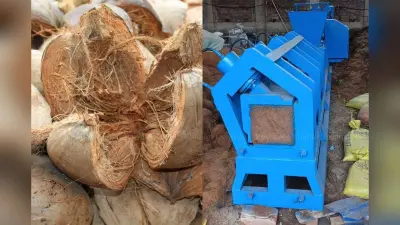 Patna News: नारियल वेस्ट से रोजाना इतने टन होता है कचरा उत्पादन, अब कोकोपीट व फाइबर में बदलेगी निगम