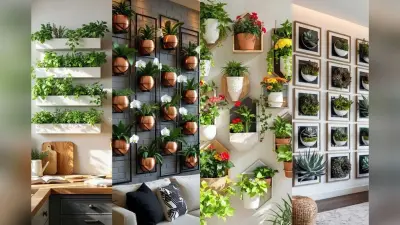 Plant Wall Designs: घर की दीवारों को दें नेचुरल, फ्रेश और मॉडर्न लुक इन खूबसूरत प्लांट वॉल आइडियाज से