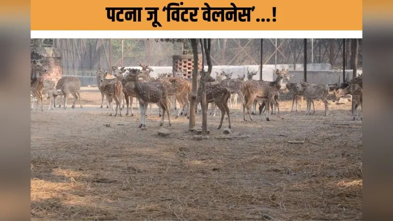Zoo winter preparation : अजगर को कंबल, चिंपांज़ी को च्यवनप्राश! इस जू में जानवरों की ‘विंटर वेलनेस’ शुरू