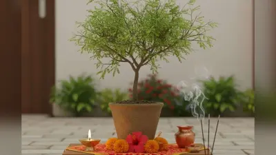 Shami Tree Puja: शनिवार को करें शमी वृक्ष पूजा, शनि दोष से मुक्ति का है सरल उपाय