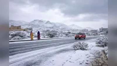 Snowfall in Saudi Arabia: सऊदी अरब में गिरने लगी बर्फ, सफेद हुआ रेगिस्तान, पैगंबर की किस बात से जोड़ने लगे लोग?