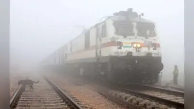 उत्तर भारत में घना कोहरा, दर्जनों ट्रेनें लेट, फ्लाइट्स पर भी पड़ा असर