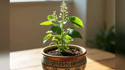 Margashirsha Purnima 2025: कल है मार्गशीर्ष पूर्णिमा, जरूर करें तुलसी चालीसा का पाठ, घर में आएगी समृद्धि