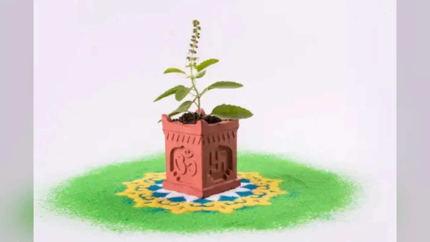 Tulsi Pujan Diwas 2025: घर में शांति चाहिए? तुलसी पूजन दिवस पर करें ये उपाय