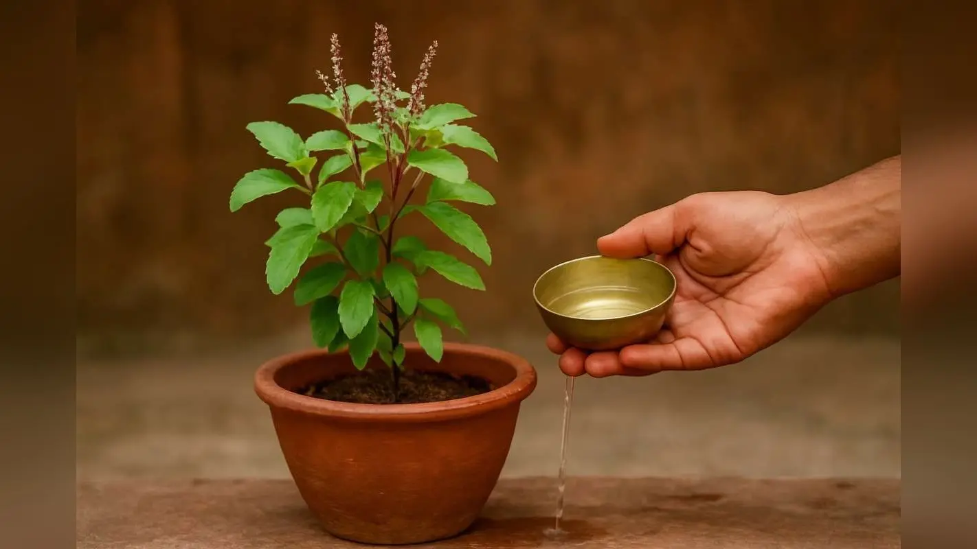 Vastu Tips: बढ़ जाएंगी मुसीबतें और लगेगा पाप, इन दिनों तुलसी पर जल चढ़ाने से रुक सकती है सुख-समृद्धि