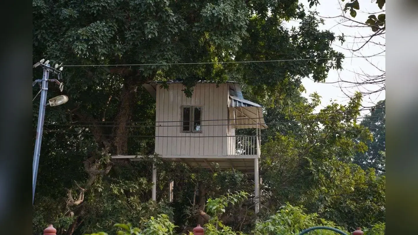 नए साल पर घूमने का है प्लान तो चले आइए वाल्मीकि टाइगर रिजर्व, जानिए क्यों खास है यह जगह