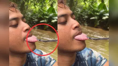 Viral Video: सांप ने काट दी व्यक्ति की जीभ, वीडियो देखकर कांप जाएगी रूह