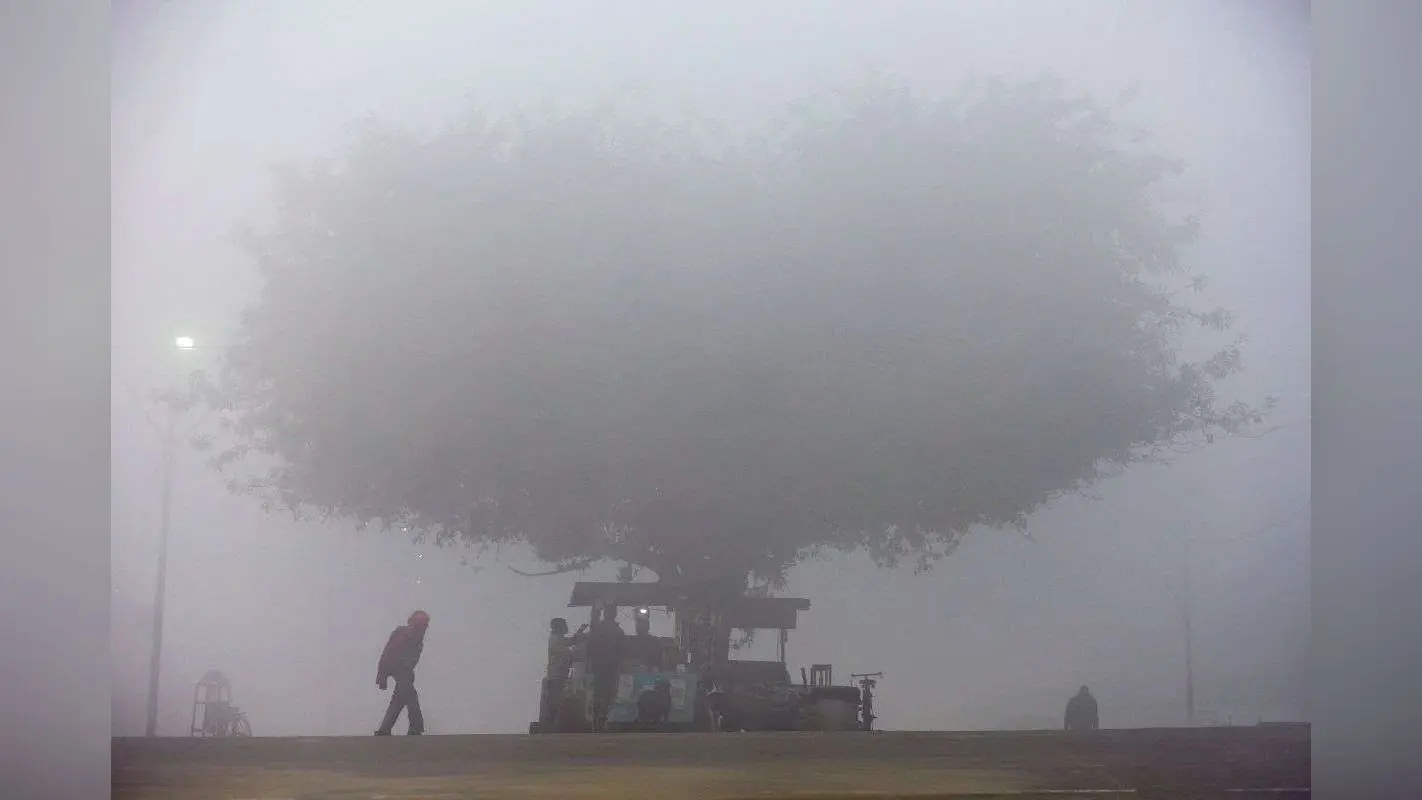 Weather News: दिल्ली यूपी लेकर हरियाणा-पंजाब तक घना कोहरा, इन राज्यों में कोल्ड वेव अलर्ट, मौसम ले रहा करवट