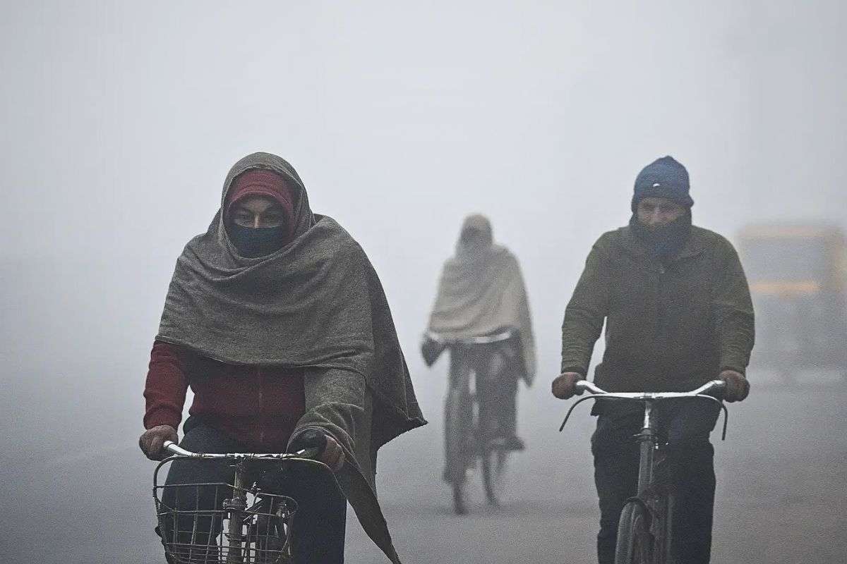 10-12 Km/h की रफ्तार से चलेगी पछुआ हवा, अगले सात दिन तक रहेगा ठंड का प्रकोप