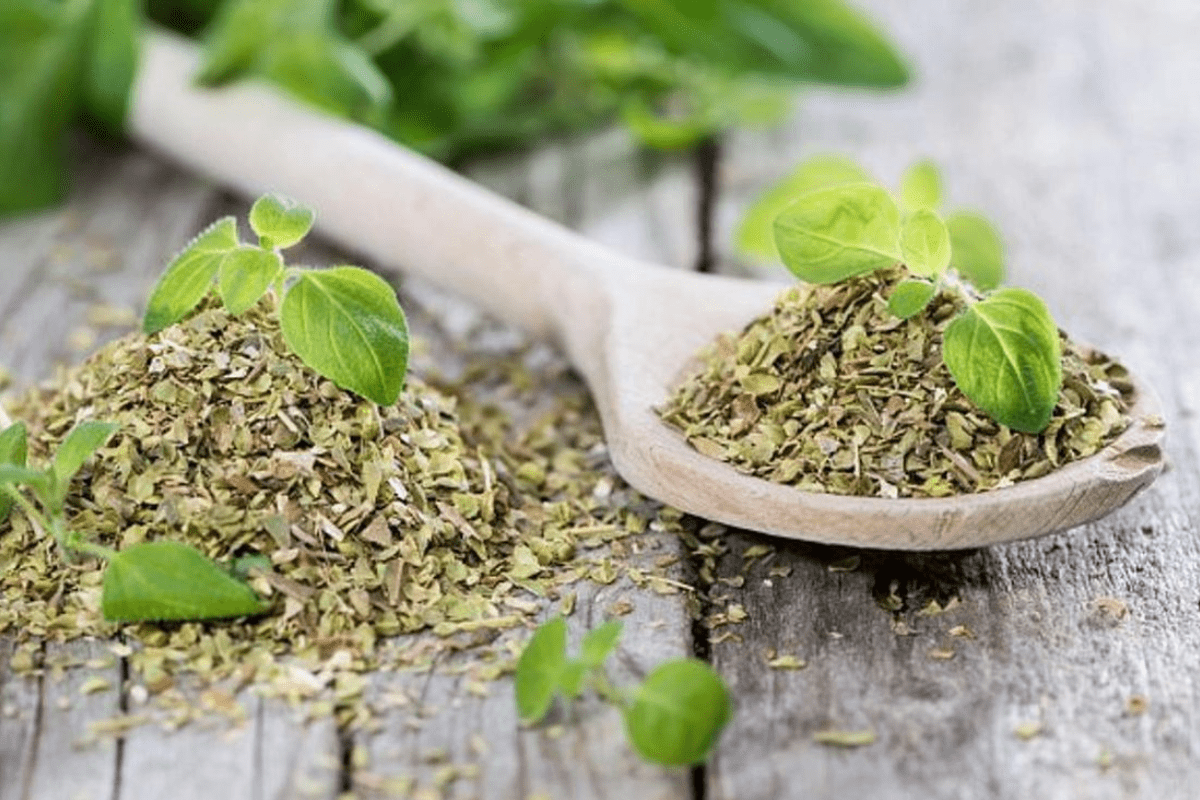 घर पर ओरिगैनो कैसे बनाएं? (How do I prepare oregano at Home?)