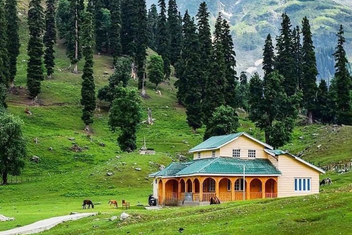 Khajjiar green forest Valentine week special tourist destination