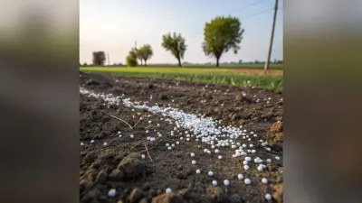 Fertiliser: उर्वरक उत्पादन के मामले में आत्मनिर्भर बनने की ओर बढ़ रहा है देश