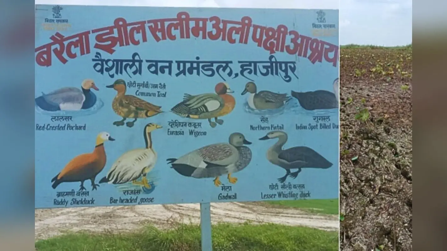 सूखी बरैला झील में लौटेगी चहचहाहट, नीतीश सरकार के मास्टरप्लान से बदलेगी वैशाली की तस्वीर