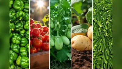 Best Vegetables to Grow in February: फरवरी में लगाएं ये 5 सब्ज़ियां, किचन गार्डन होगा हरा-भरा