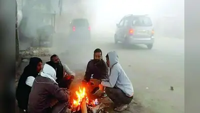 Bihar Ka Mausam: बिहार में अगले 48 घंटे शीतलहर का अलर्ट, 4 डिग्री तक और गिरेगा पारा, मौसम विभाग की बड़ी चेतावनी