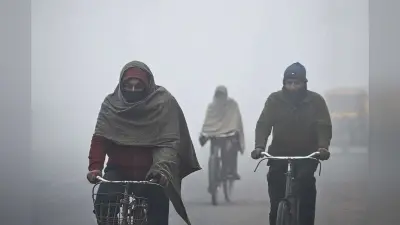 10-12 Km/h की रफ्तार से चलेगी पछुआ हवा, अगले सात दिन तक रहेगा ठंड का प्रकोप
