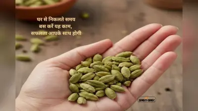 Cardamom Remedy: काम अटका है? बाहर निकलते समय आजमाएं यह उपाय, कार्य होगा सफल