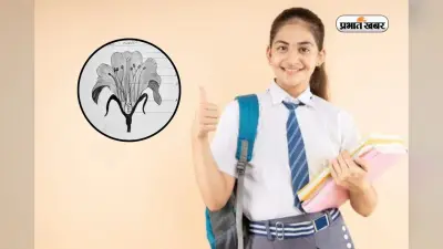 बायोलॉजी बोर्ड एग्जाम का Secret! डायग्राम सही तो स्कोर High