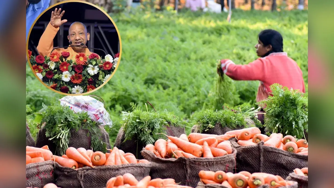 Kisan Yojana : मुख्यमंत्री कृषक दुर्घटना कल्याण योजना बनी किसानों के लिए मजबूत सुरक्षा कवच