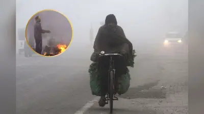 Delhi Weather : दिल्ली में होगी बारिश, शीतलहर से कांपेंगे लोग, आया IMD का अलर्ट