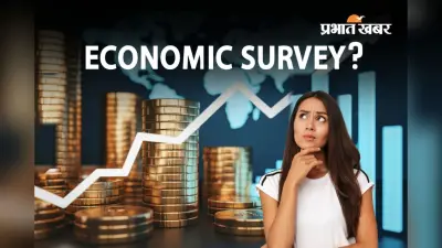 क्या होता है Economic Survey? आसान भाषा में समझें बजट से पहले इसका क्या है महत्व