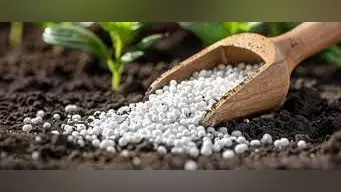 Fertiliser: पिछले साल खरीफ और रबी फसल के दौरान मांग से अधिक रही उर्वरक की आपूर्ति
