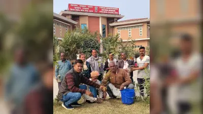 ग्रीन जोन में बदलेगा जेपी स्मारक प्रतिष्ठान परिसर