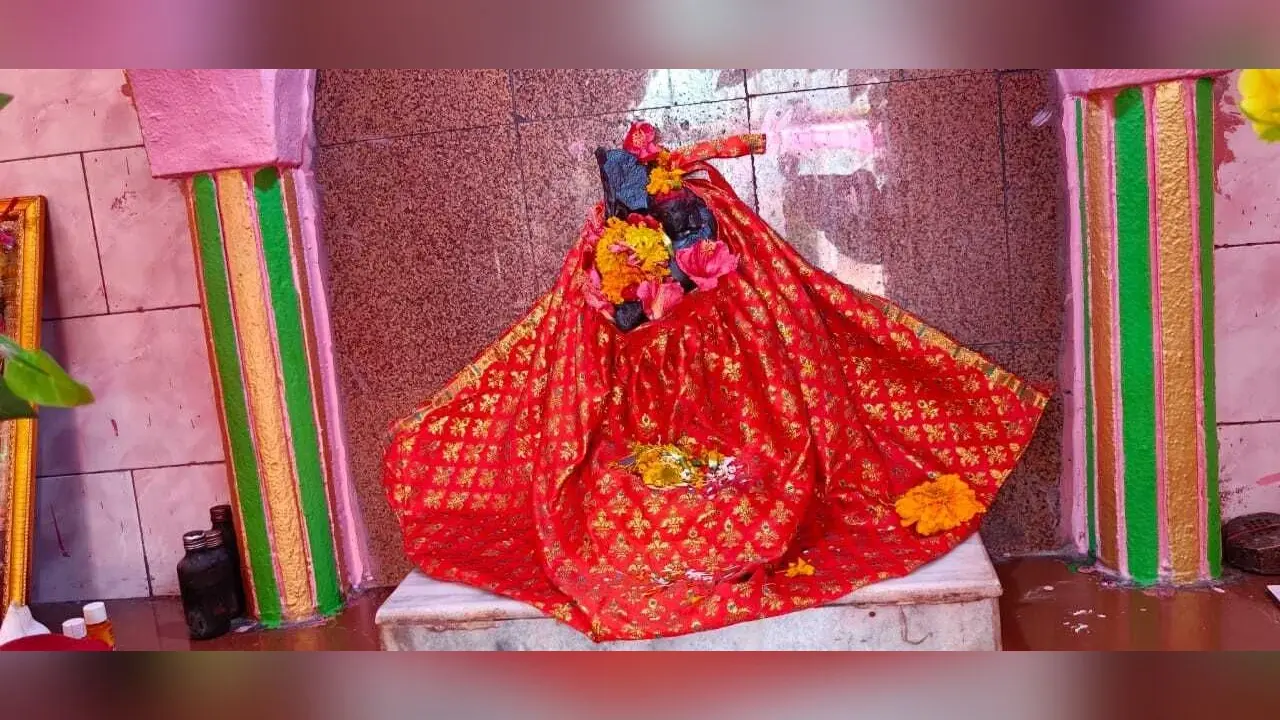Madhubani News : गम्हरिया के सरस्वती मंदिर में अंकुरित मां के पूजनोत्सव की तैयारी पूरी