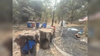 Seraikela Kharsawan News : छापेमारी में 80 ली शराब जब्त 1200 किलो जावा-महुआ नष्ट