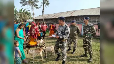 पशु चिकित्सा शिविर का आयोजन