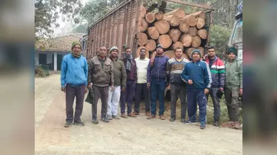 Chaibasa News : छह लाख की लकड़ी लदा ट्रक जब्त