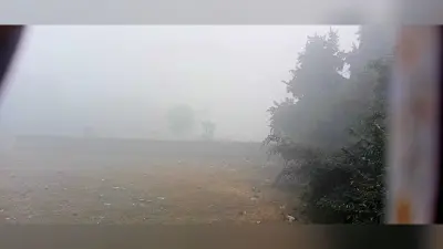 कोहरे ने बढ़ा दी ठंड, दोपहर में मिली राहत