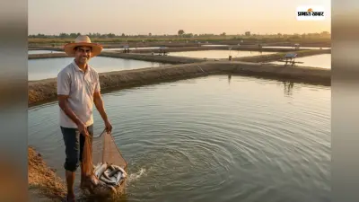 तालाब आपका पैसा सरकार का, मछली पालन पर पाएं 60% सब्सिडी, जानें आवेदन करने का आसान तरीका