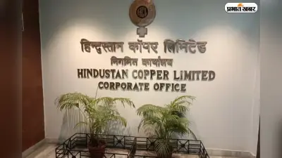 EV और AI का बढ़ा क्रेज, हिंदुस्तान कॉपर के शेयरों ने लगा दी 13% की लंबी छलांग