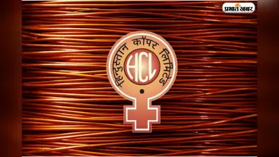 बजट से पहले मेटल शेयरों में बढ़ी तेजी, क्या ये निवेश का सही मौका है?