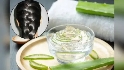 Aloe Vera for Strong and Shiny Hair: एलोवेरा को बालों में कैसे लगाना चाहिए? जानें सही तरीका