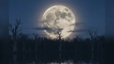 Magh Purnima 2026: 1 फरवरी को है माघ पूर्णिमा, जानें इस दिन क्या करना शुभ है और क्या करना अशुभ