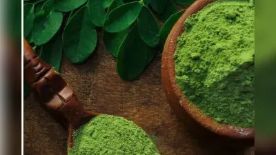 Moringa Powder Benefits: सर्दियों में मोरिंगा पाउडर के अद्भुत फायदे, जानें कैसे बढ़ाएं सेहत और इम्यूनिटी
