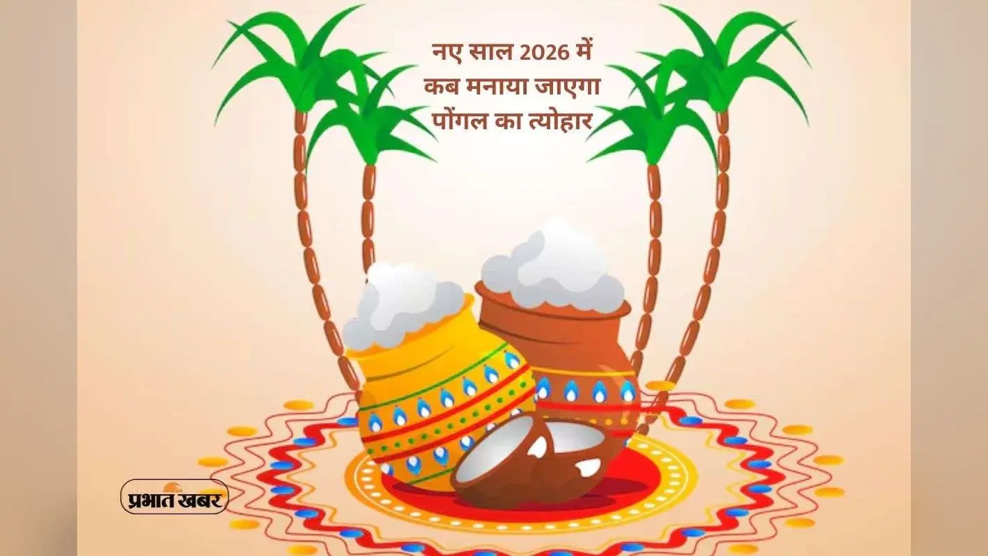 Pongal 2026: इस साल कब मनाया जाएगा पोंगल का त्योहार, यहां से जानें सही डेट्स