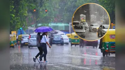 राजस्थान में 31 जनवरी से 2 फरवरी तक होगी बारिश, अलर्ट जारी