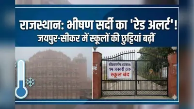 Rajasthan School Holiday : 14 जनवरी तक ‘कोल्ड अटैक’! जयपुर-सीकर में स्कूल बंद, मौसम विभाग ने जारी किया रेड अलर्ट